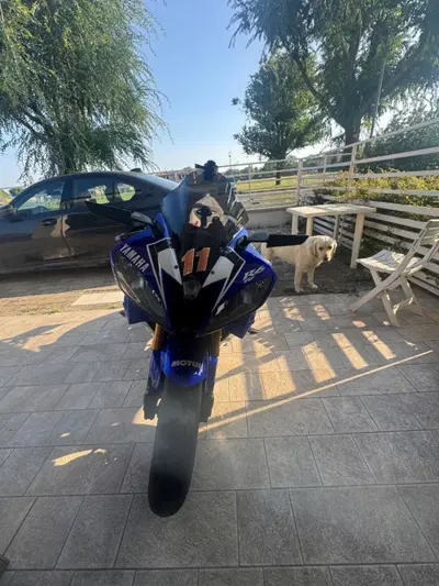 Yamaha YZF R6 (2006 - 07) usata