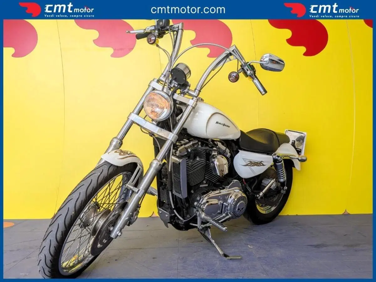 Harley-Davidson 1200 Custom (2004 - 06) - XL 1200C (2)