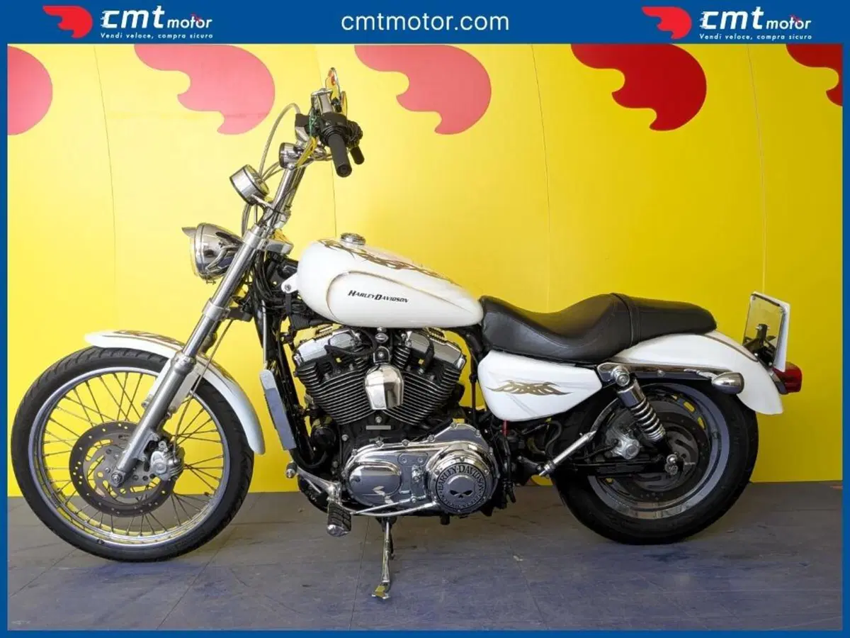 Harley-Davidson 1200 Custom (2004 - 06) - XL 1200C (3)