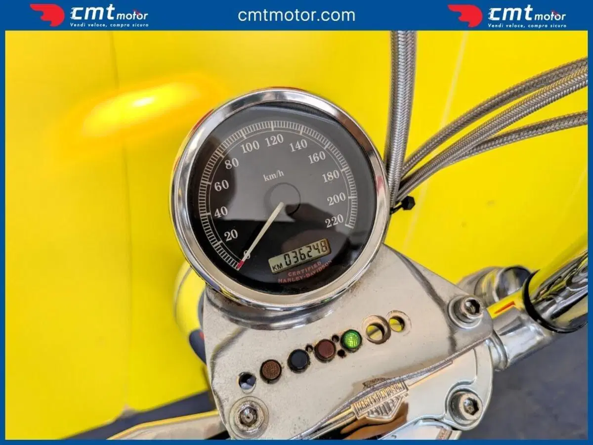 Harley-Davidson 1200 Custom (2004 - 06) - XL 1200C (5)