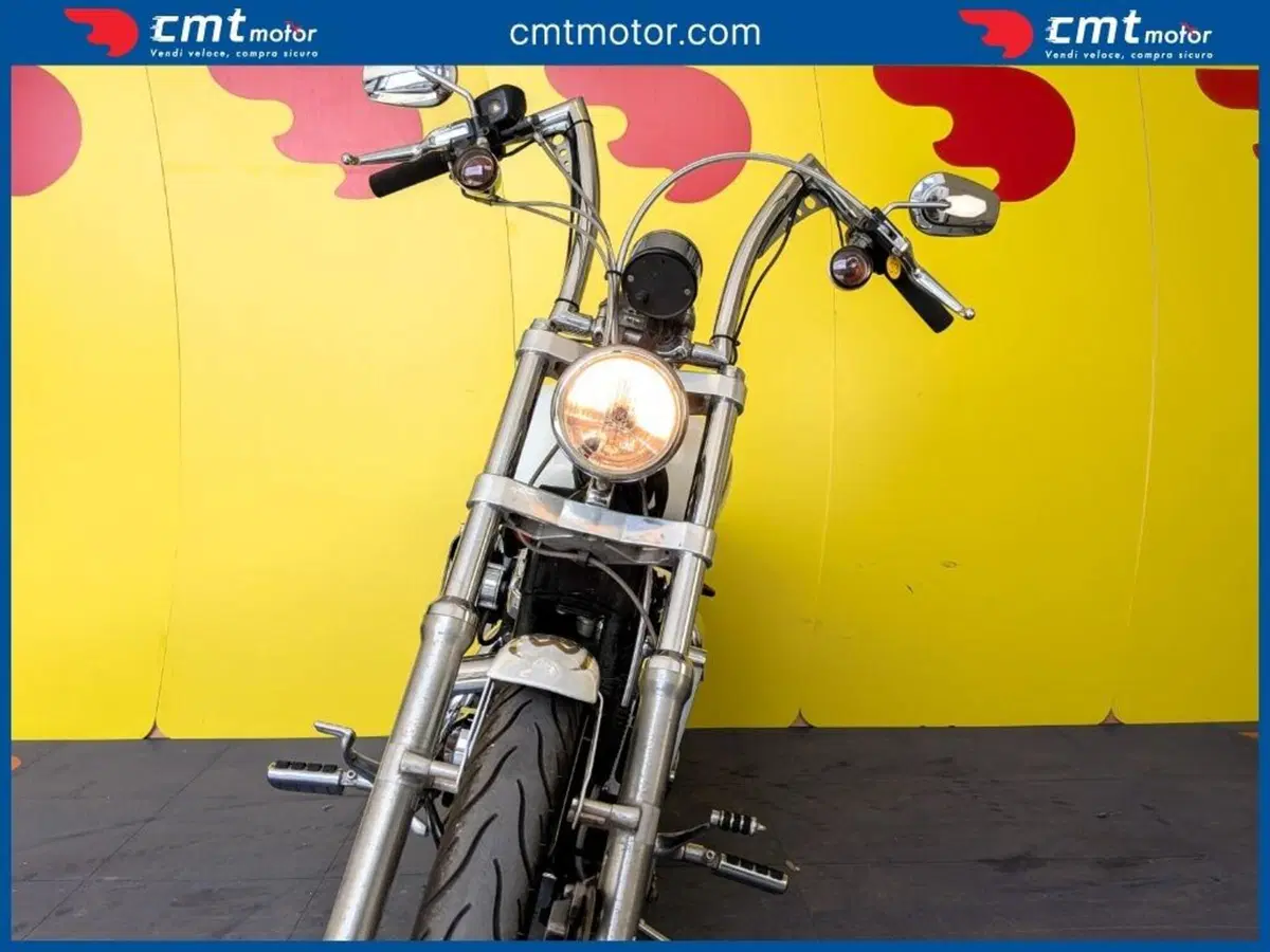 Harley-Davidson 1200 Custom (2004 - 06) - XL 1200C (6)