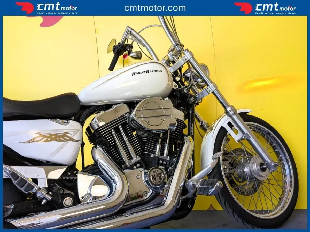 Harley-Davidson 1200 Custom (2004 - 06) - XL 1200C (8)