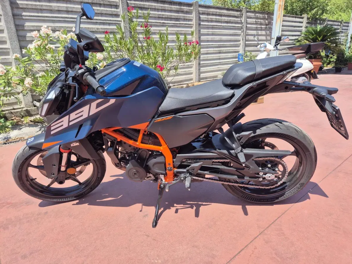 KTM 390 Duke (2026) (2)