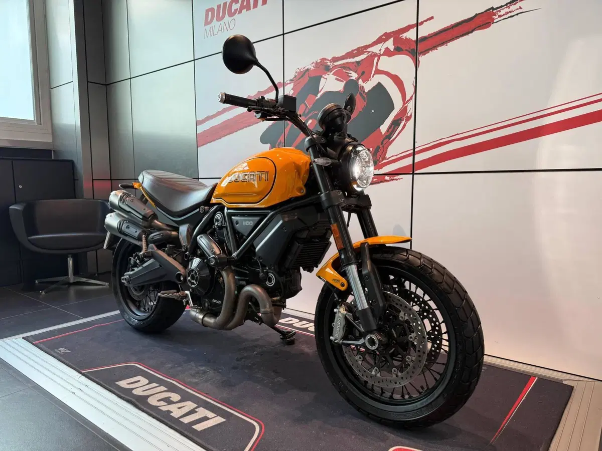 Ducati Scrambler 1100 Tribute Pro (2022 - 24) (2)