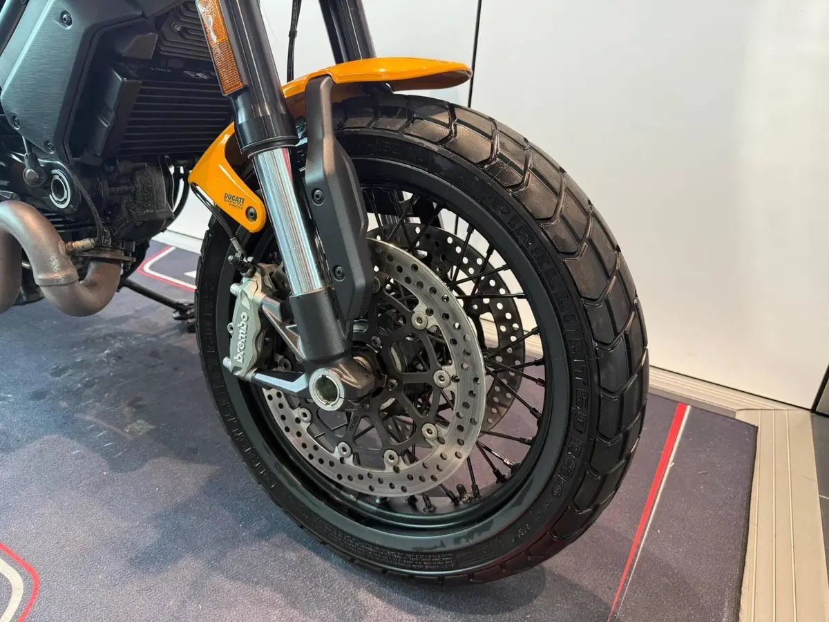 Ducati Scrambler 1100 Tribute Pro (2022 - 24) (3)