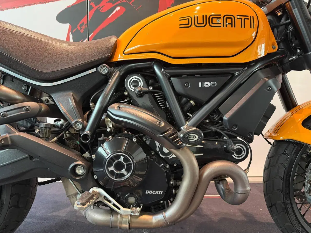 Ducati Scrambler 1100 Tribute Pro (2022 - 24) (5)