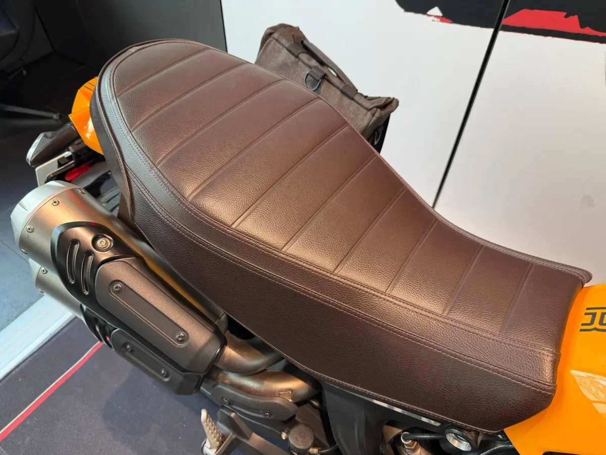 Ducati Scrambler 1100 Tribute Pro (2022 - 24) (6)