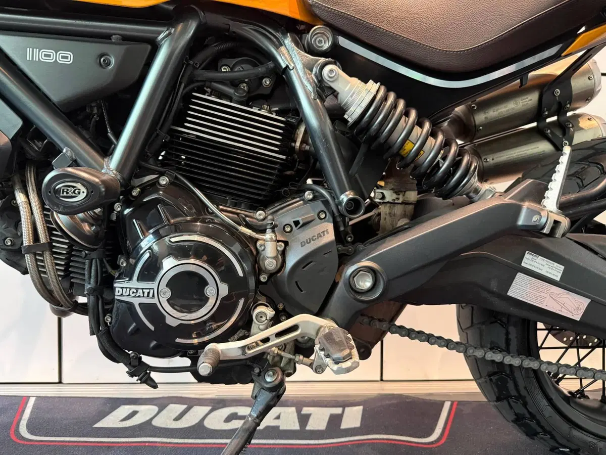 Ducati Scrambler 1100 Tribute Pro (2022 - 24) (12)