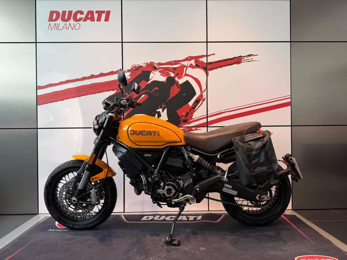 Ducati Scrambler 1100 Tribute Pro (2022 - 24) (14)