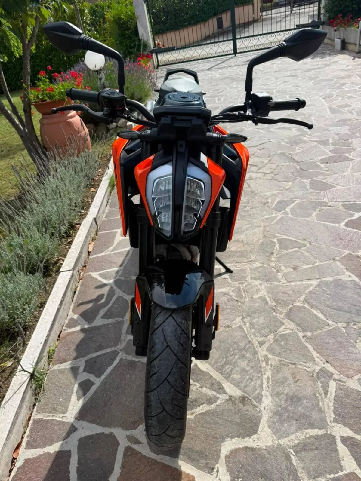 KTM 790 Duke L (2023 - 24) (3)