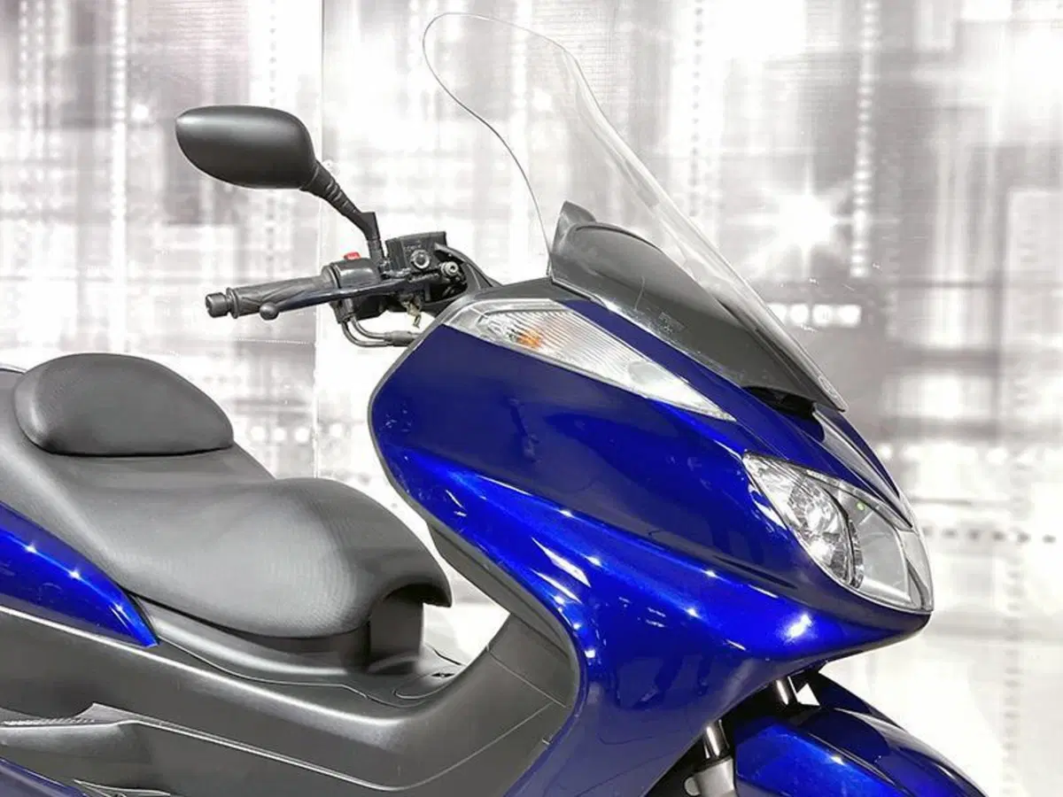 Yamaha Majesty 400 (2004 - 08) (8)