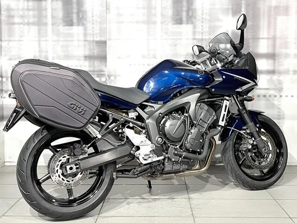 Yamaha FZ6 S2 (2007 - 11) (8)