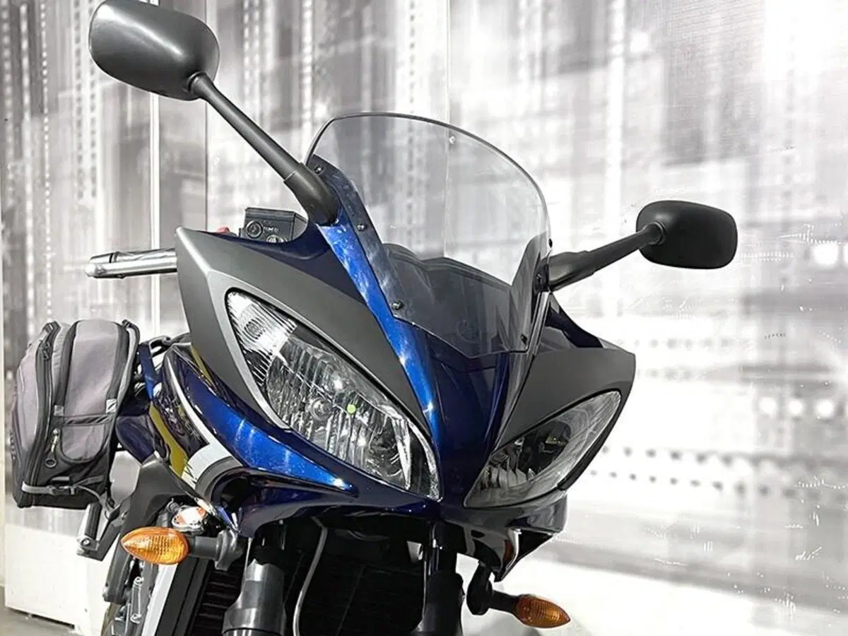 Yamaha FZ6 S2 (2007 - 11) (9)