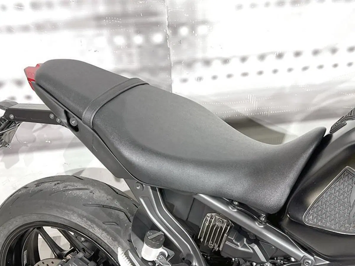 Yamaha MT-09 (2021 - 23) (4)