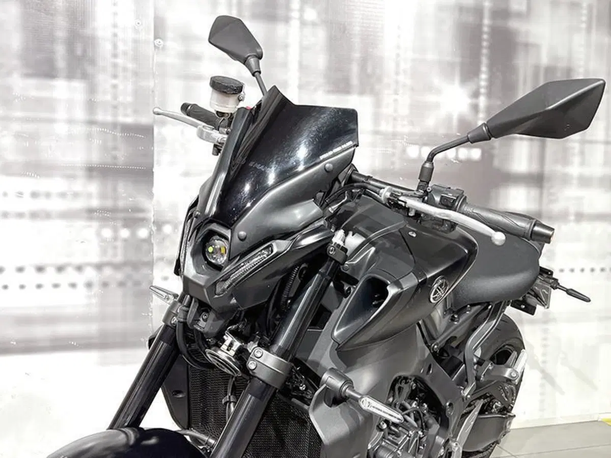Yamaha MT-09 (2021 - 23) (8)