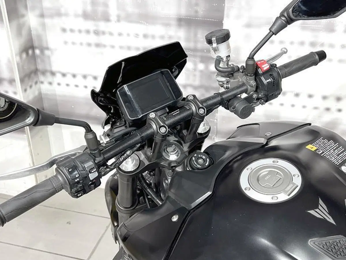Yamaha MT-09 (2021 - 23) (5)