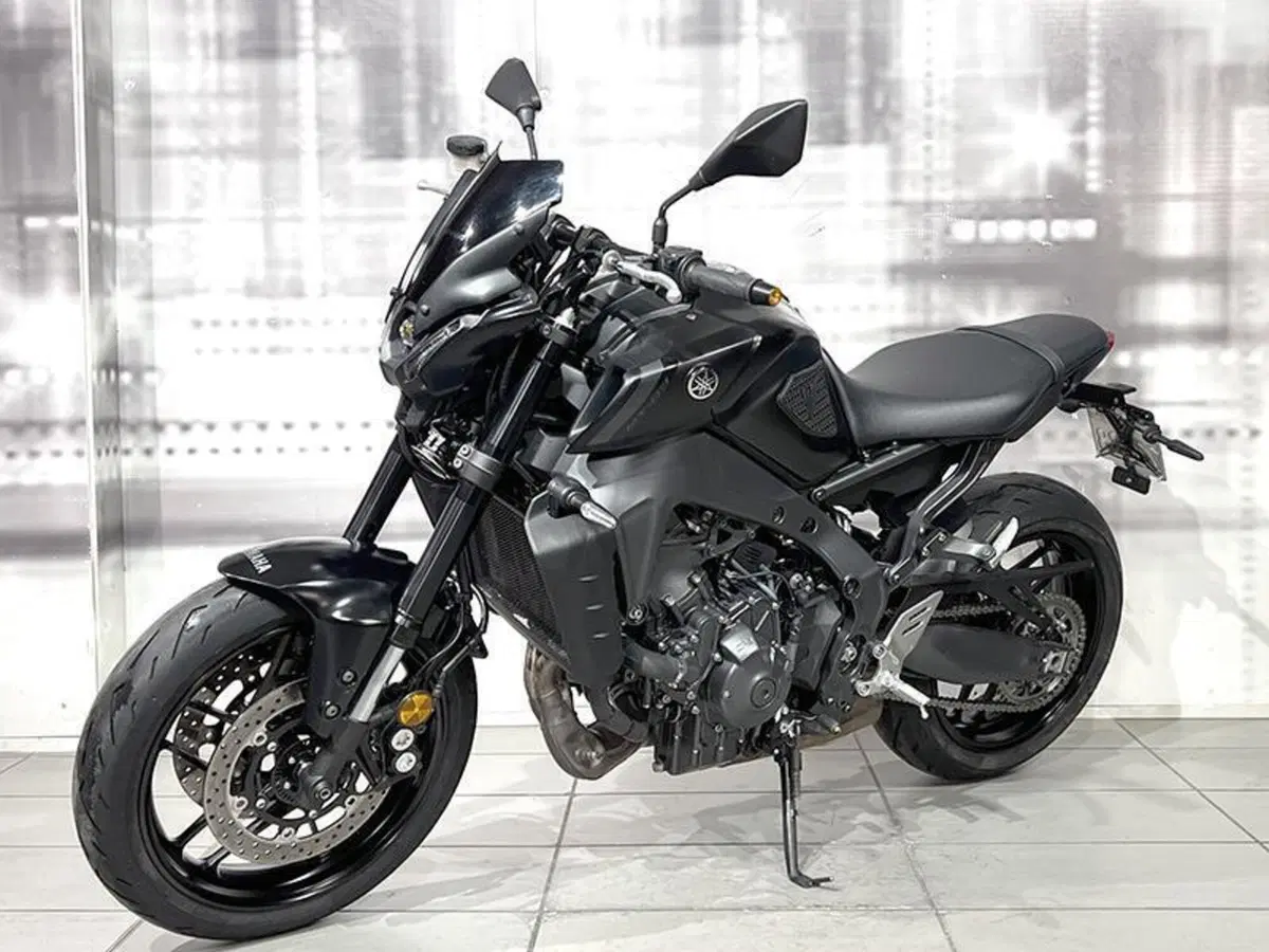 Yamaha MT-09 (2021 - 23) (6)