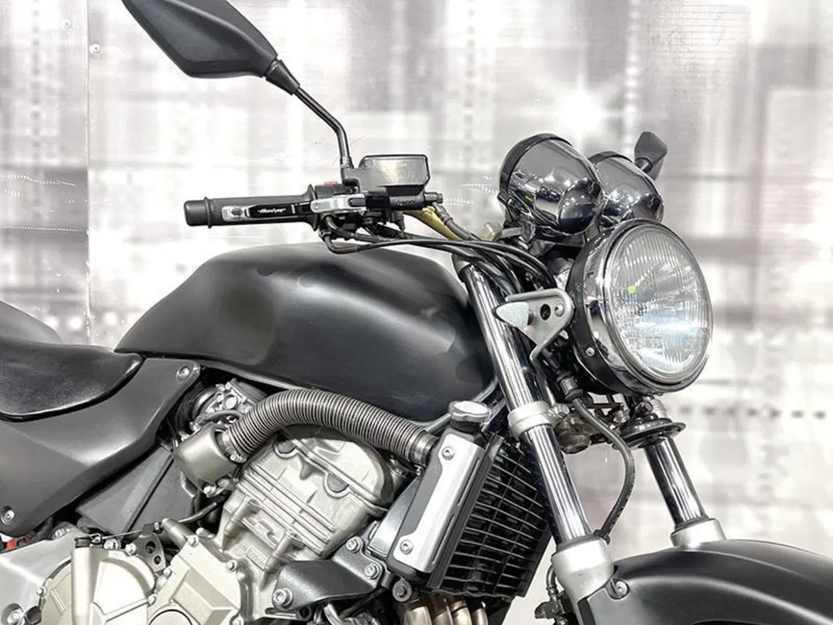 Honda Hornet 600 (1998 - 00) (5)