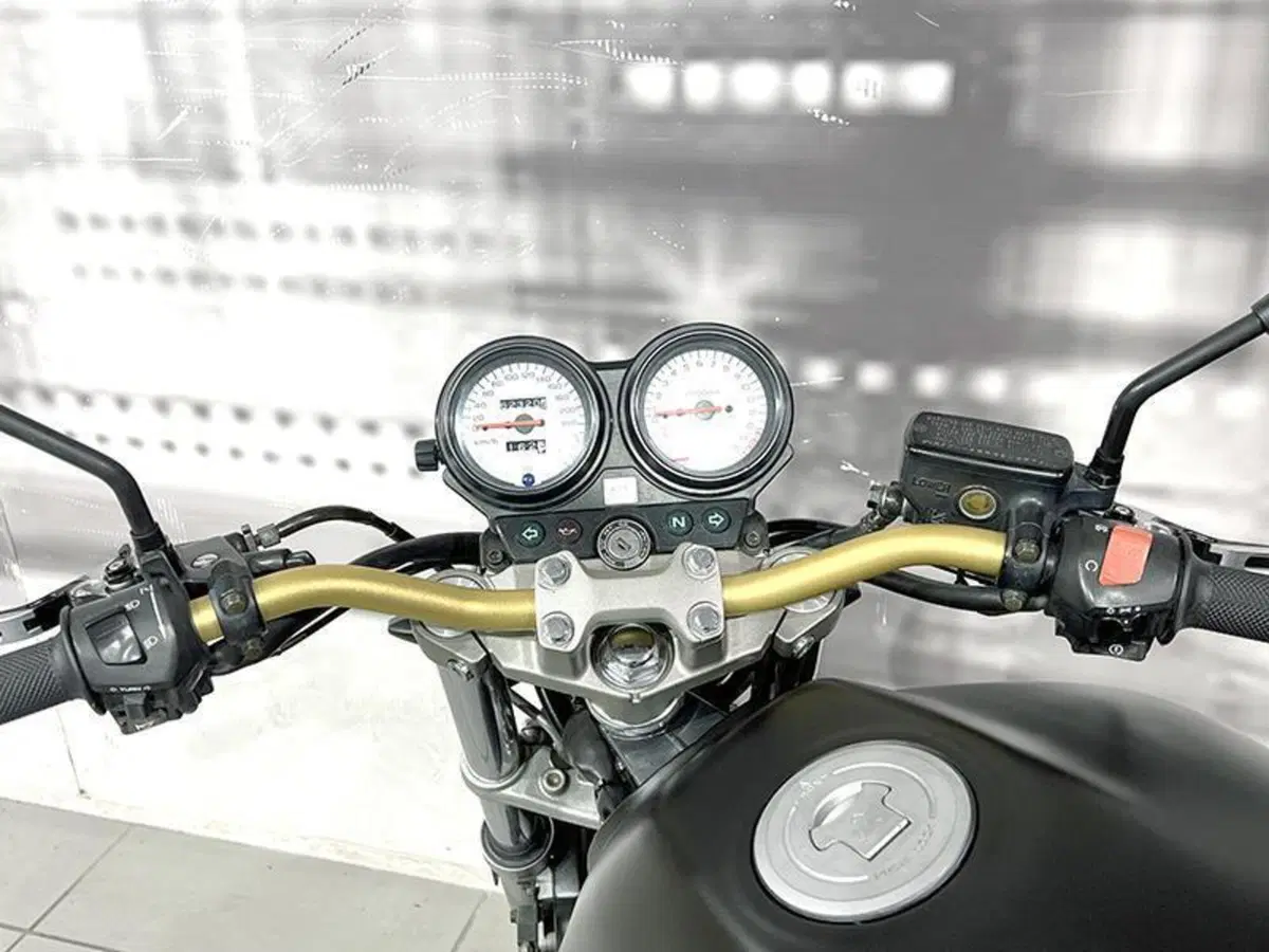 Honda Hornet 600 (1998 - 00) (6)
