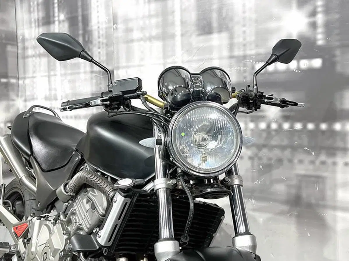 Honda Hornet 600 (1998 - 00) (9)
