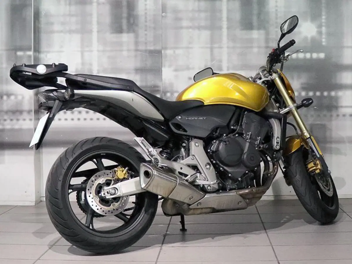 Honda Hornet 600 (2007 - 10) (7)