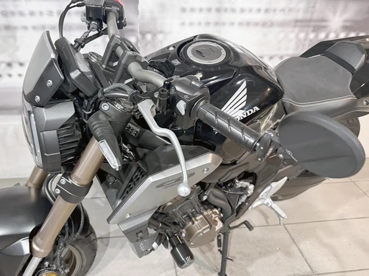Honda CB 650 R (2019 - 20) (3)