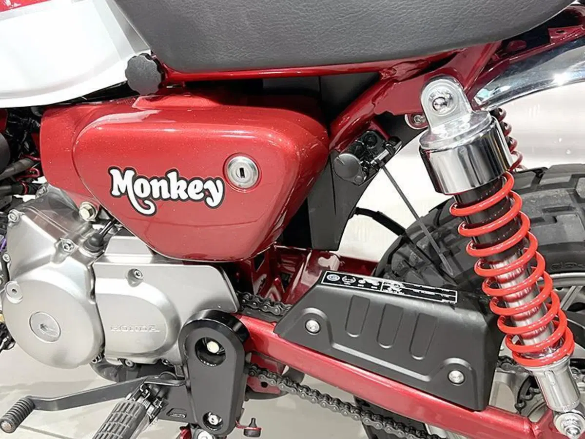 Honda Monkey 125 (2018 - 20) (5)