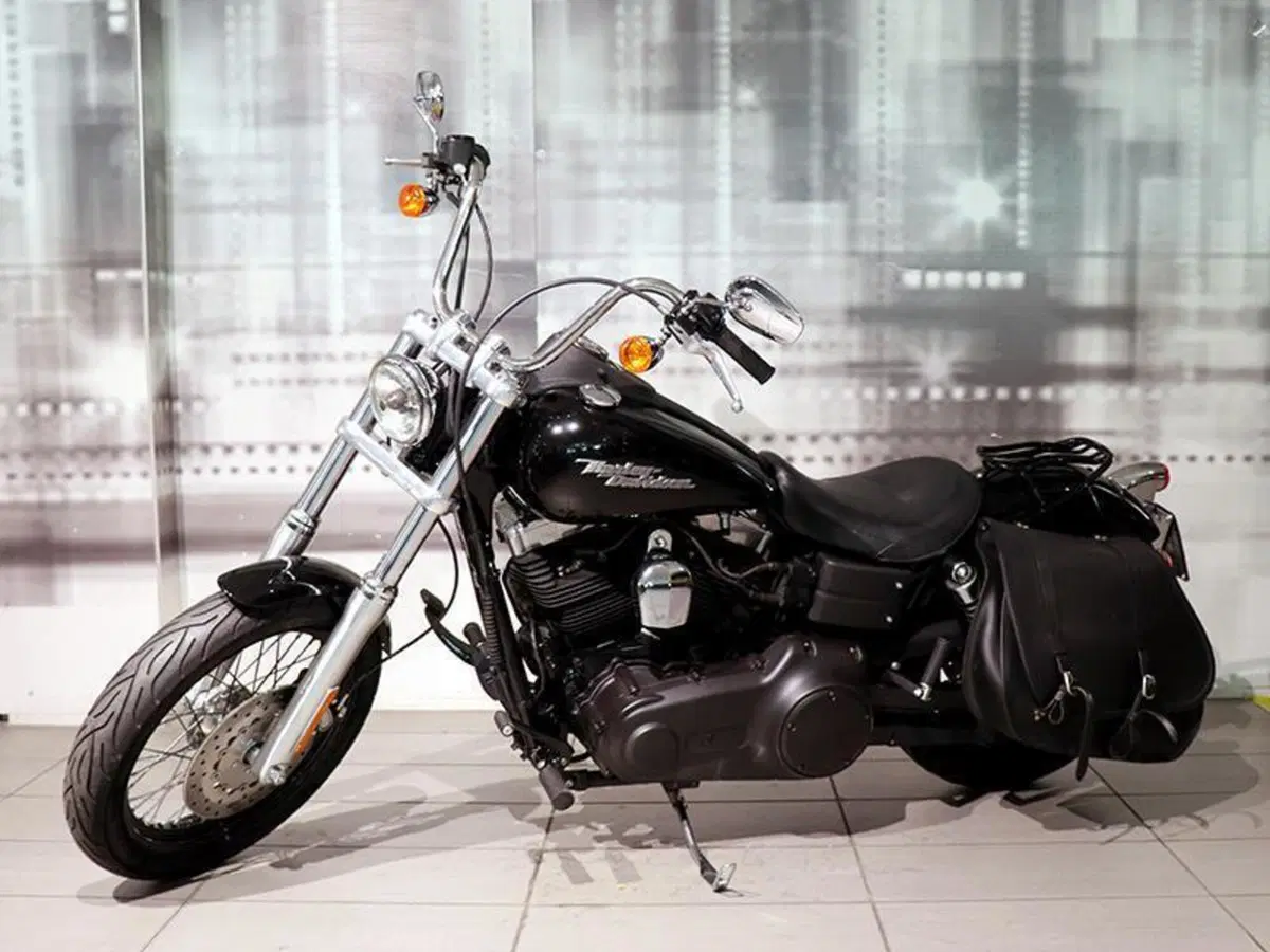 Harley-Davidson 1584 Street Bob (2007) - FXDB (7)