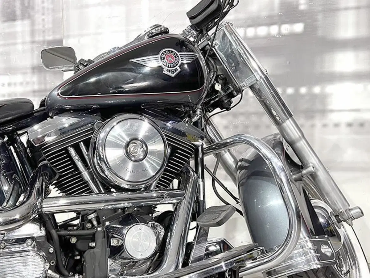 Harley-Davidson 1340 Heritage Special (1993 - 96) (5)