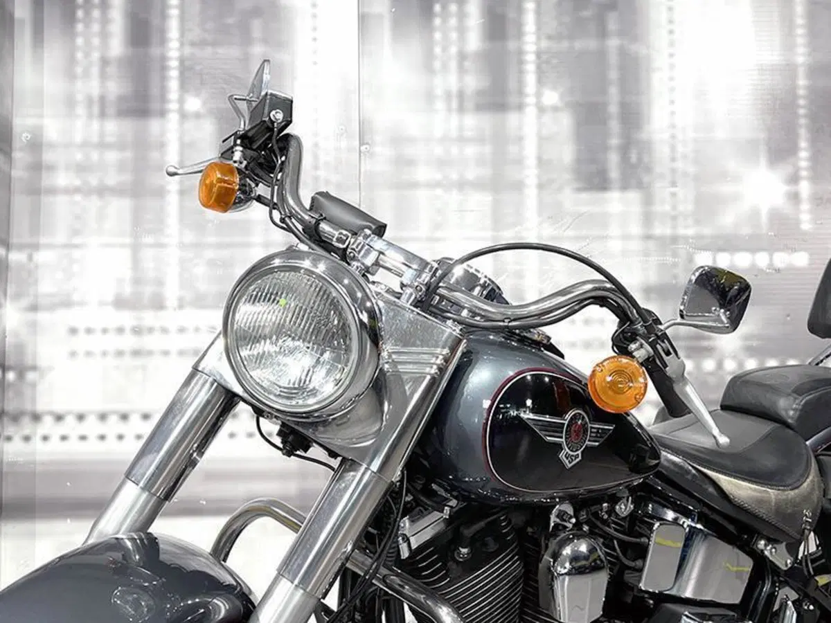 Harley-Davidson 1340 Heritage Special (1993 - 96) (9)