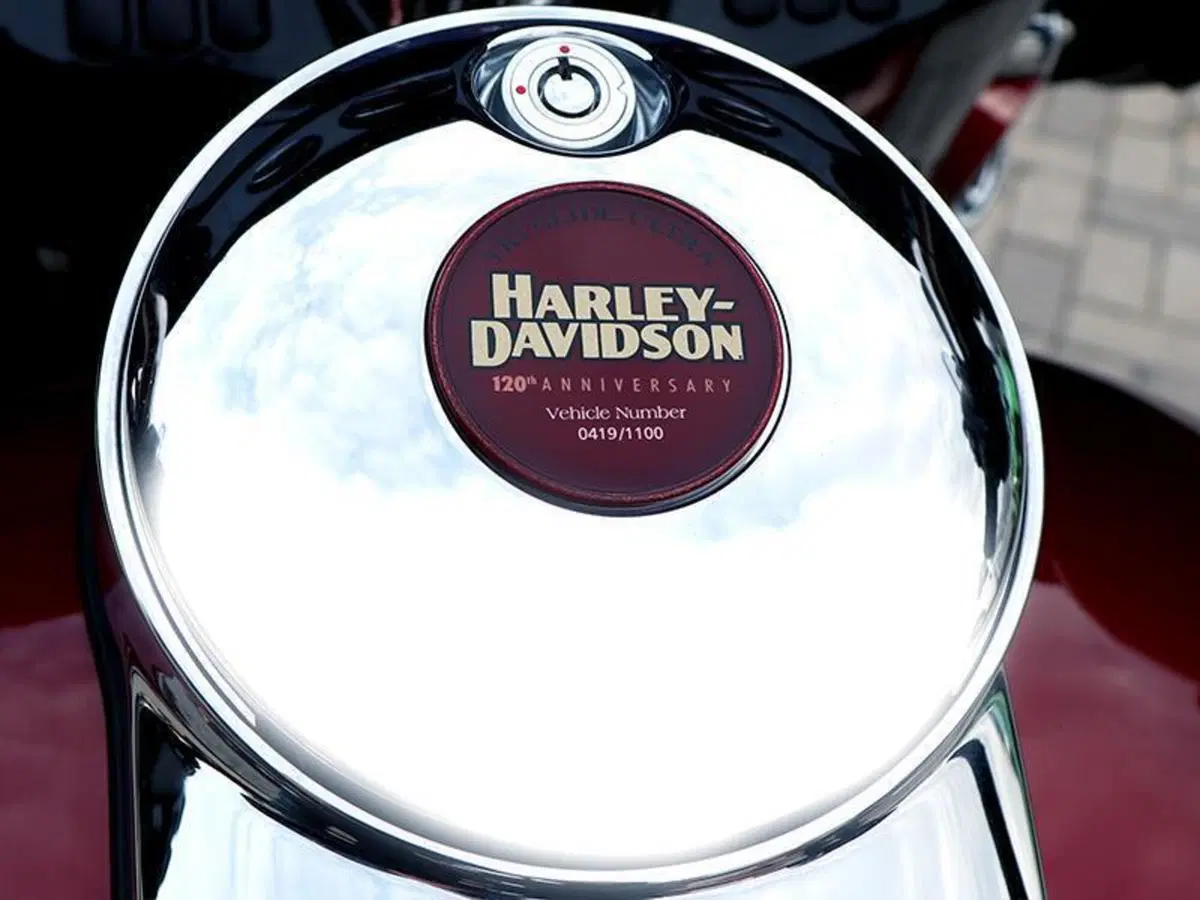 Harley-Davidson Tri Glide Ultra (2021 - 26) (9)