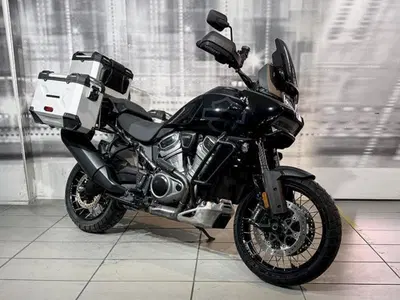 Harley-Davidson Pan America 1250 (2020 - 25) usata