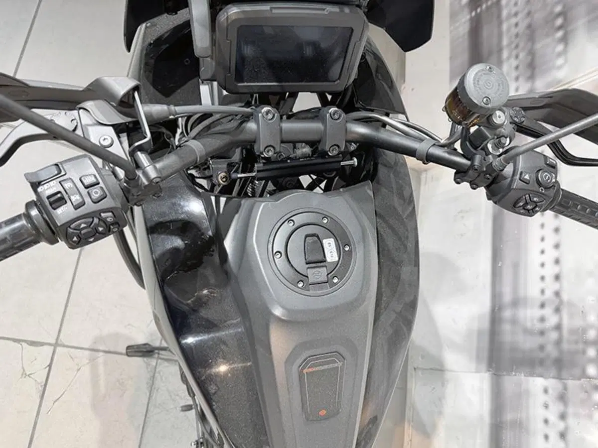 Harley-Davidson Pan America 1250 (2020 - 25) (6)
