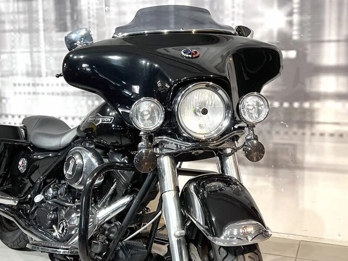 Harley-Davidson 1450 Electra Glide Standard (1999 - 00) - FLHT (9)
