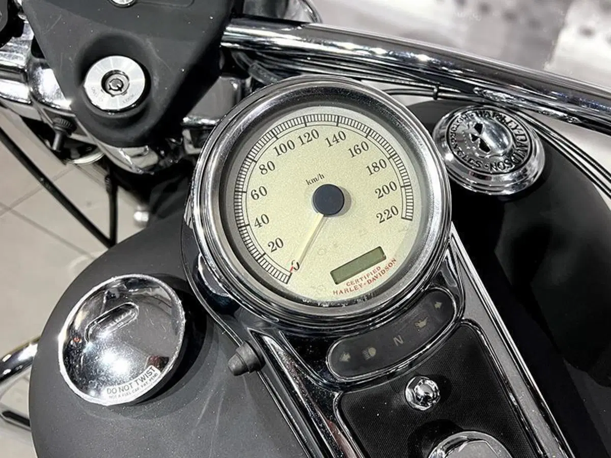 Harley-Davidson 1450 Road Glide (1999 - 06) (4)