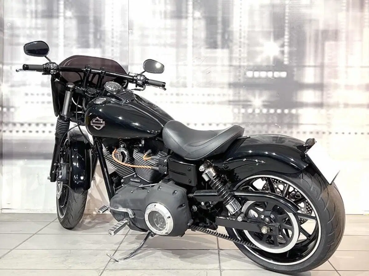 Harley-Davidson 1584 Street Bob (2007) - FXDB (2)