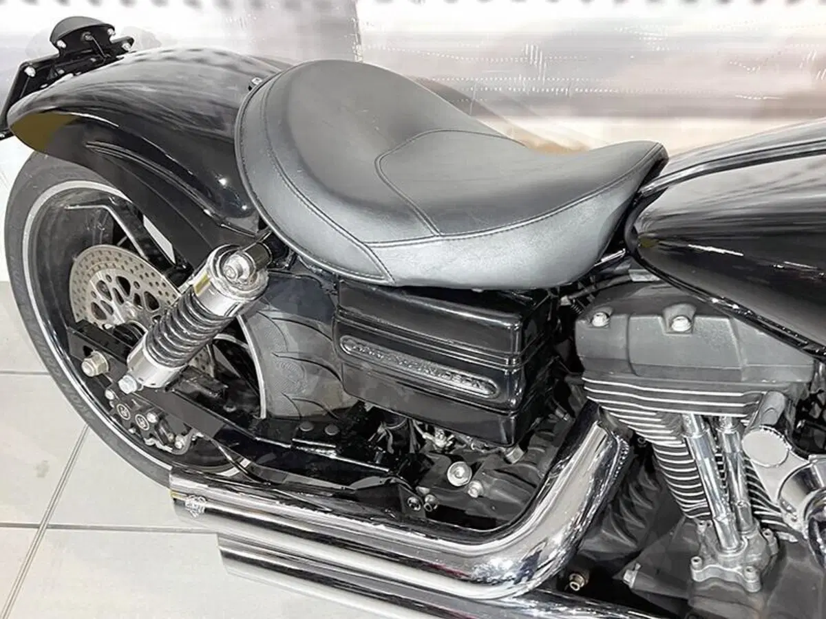 Harley-Davidson 1584 Street Bob (2007) - FXDB (4)