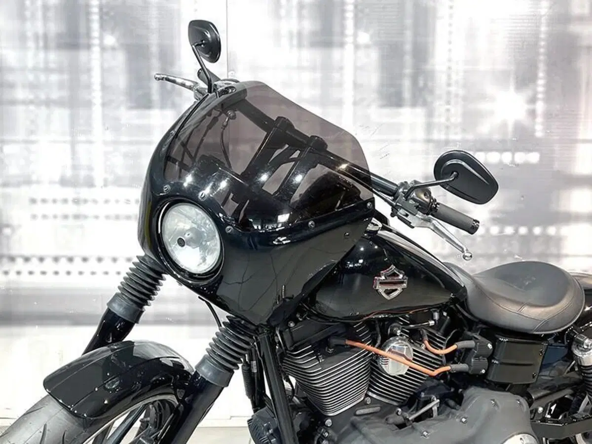 Harley-Davidson 1584 Street Bob (2007) - FXDB (5)