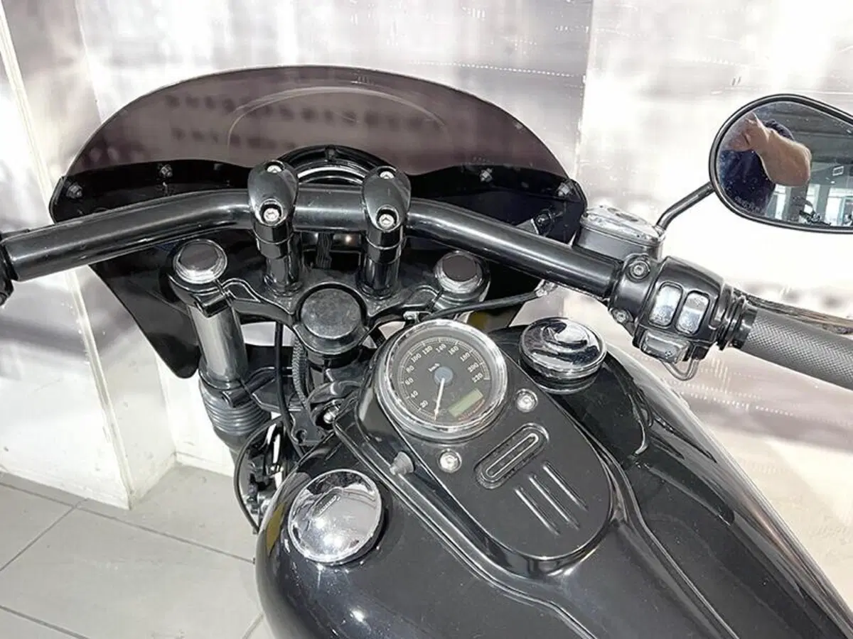 Harley-Davidson 1584 Street Bob (2007) - FXDB (6)