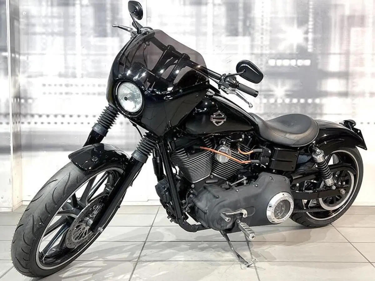 Harley-Davidson 1584 Street Bob (2007) - FXDB (7)