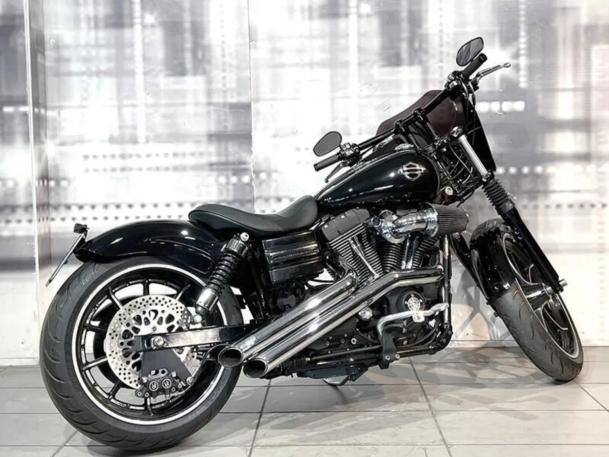 Harley-Davidson 1584 Street Bob (2007) - FXDB (8)