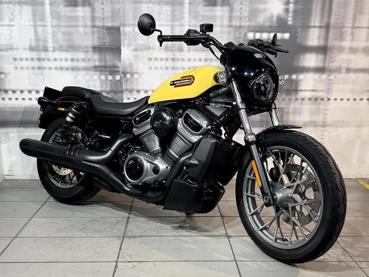 Harley-Davidson Nightster (2023 - 26)