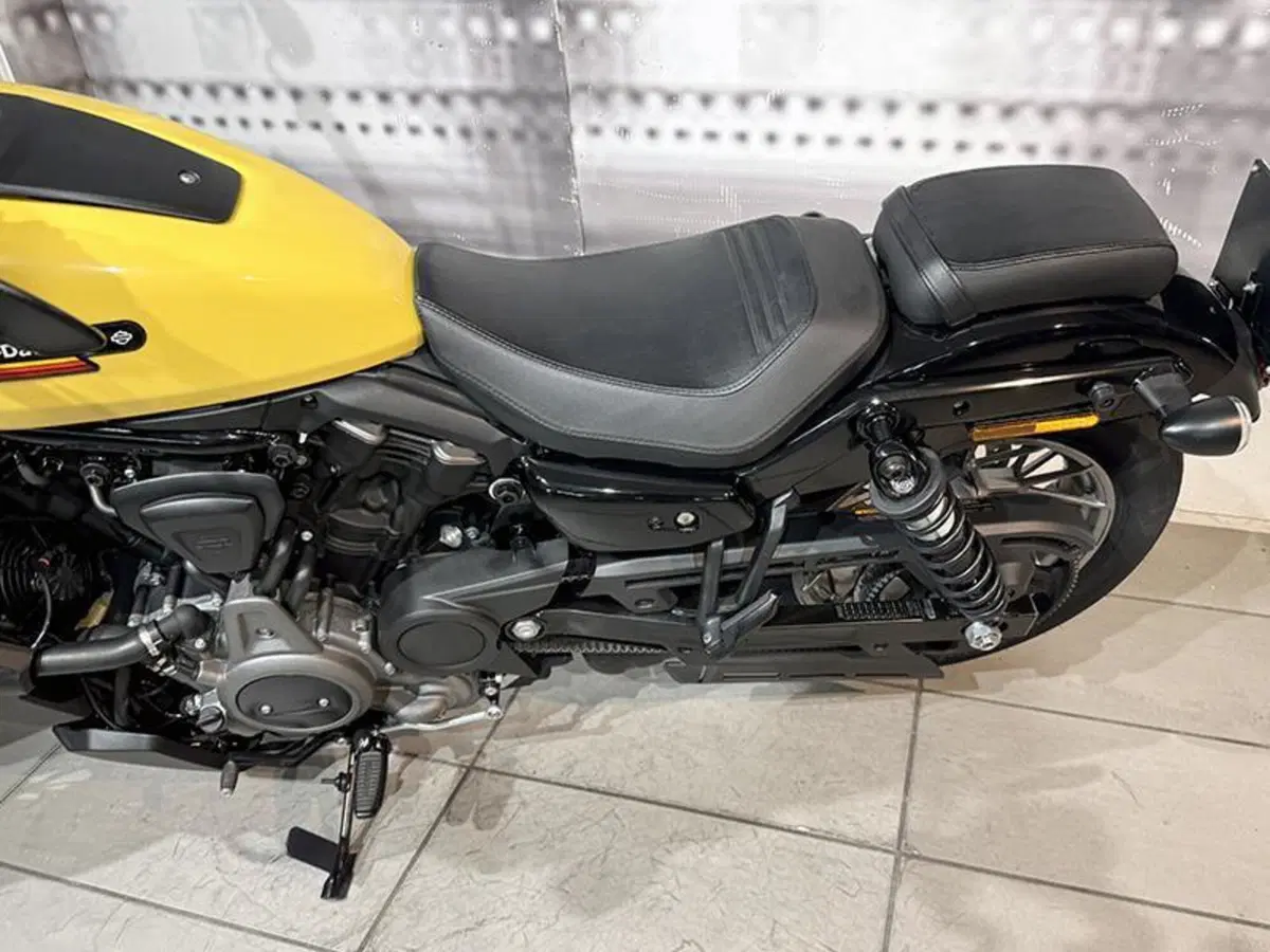 Harley-Davidson Nightster (2023 - 26) (4)