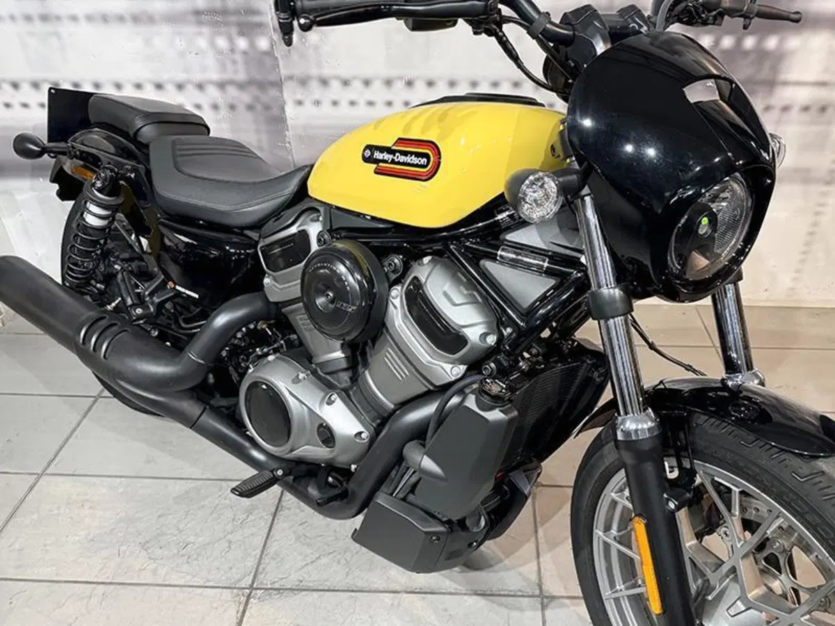 Harley-Davidson Nightster (2023 - 26) (5)