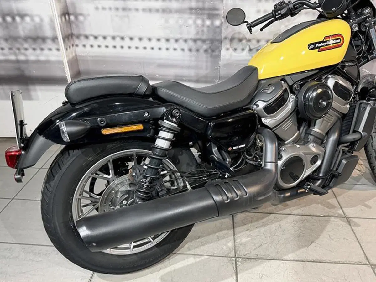 Harley-Davidson Nightster (2023 - 26) (6)