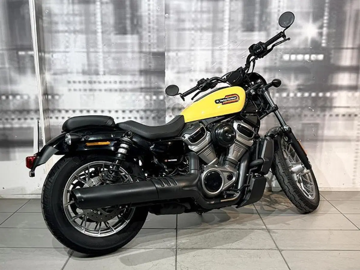 Harley-Davidson Nightster (2023 - 26) (8)