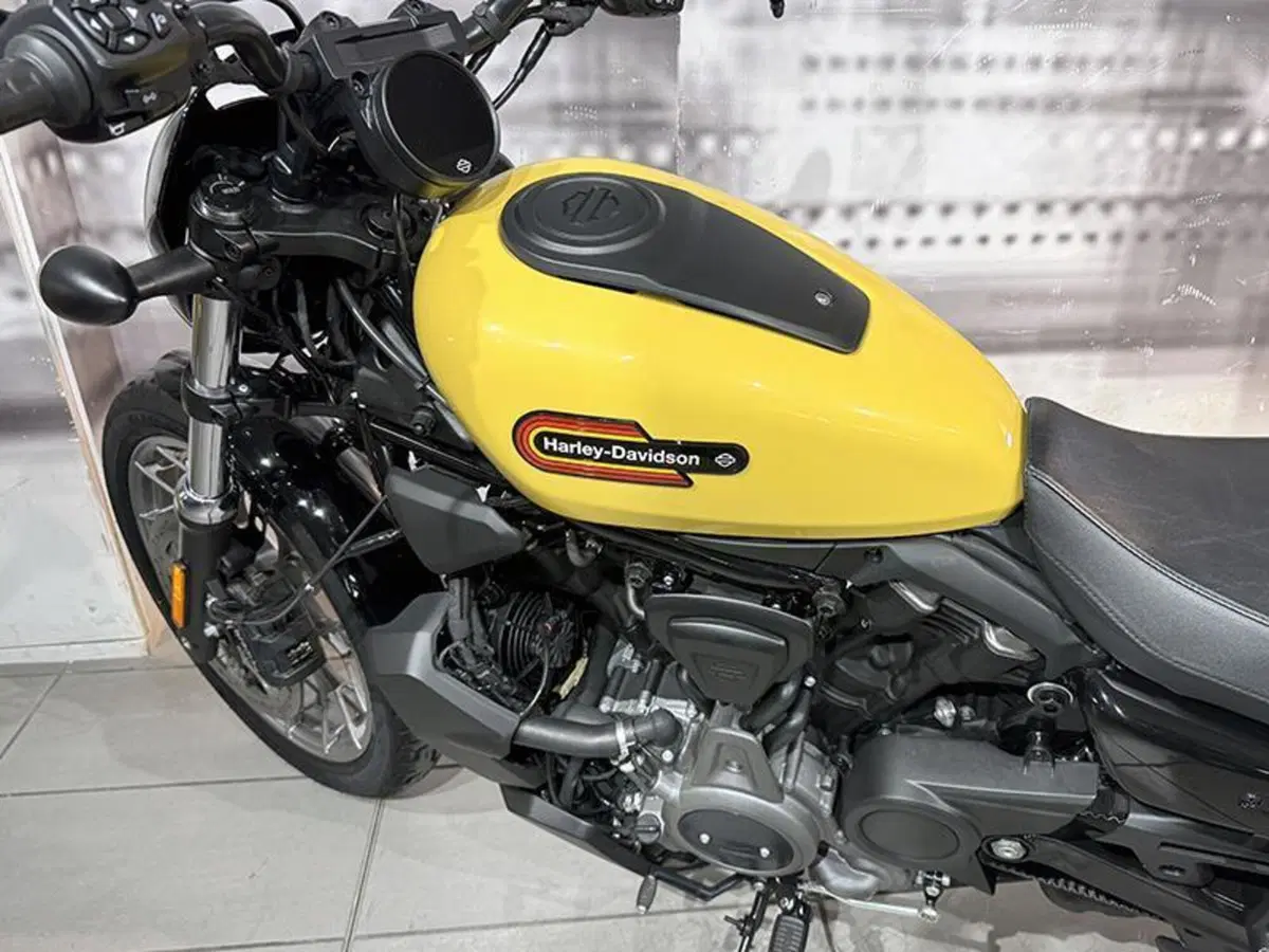 Harley-Davidson Nightster (2023 - 26) (9)