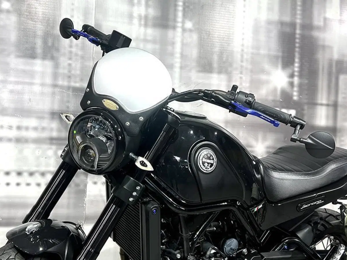 Benelli Leoncino 500 ABS (2017 - 20) (9)
