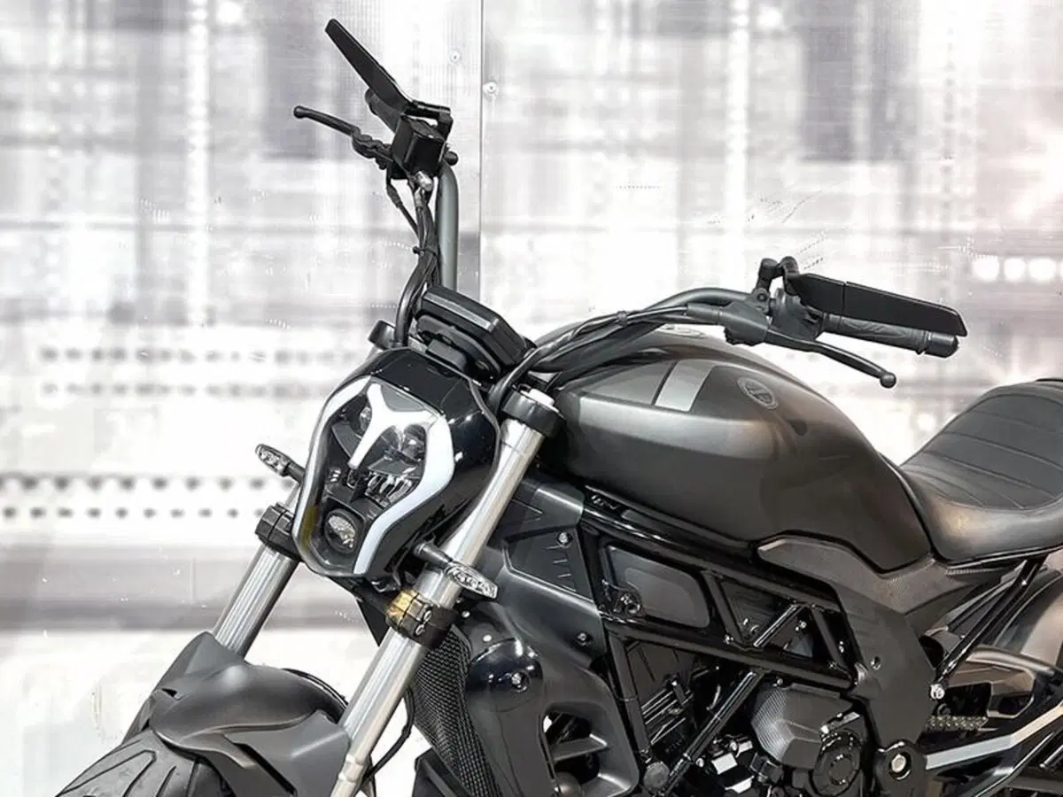 Benelli 502 C (2019 - 20) (5)