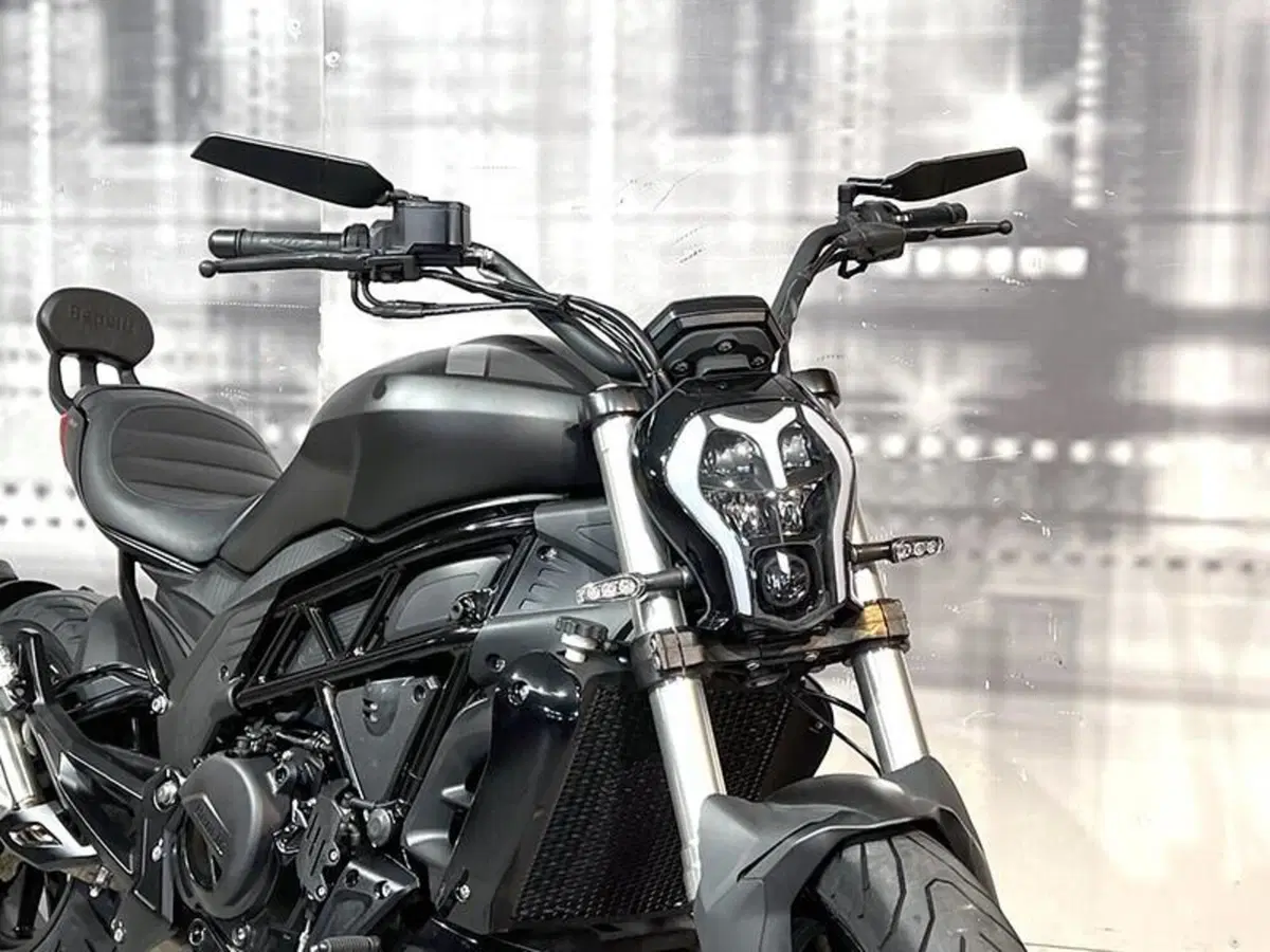 Benelli 502 C (2019 - 20) (9)